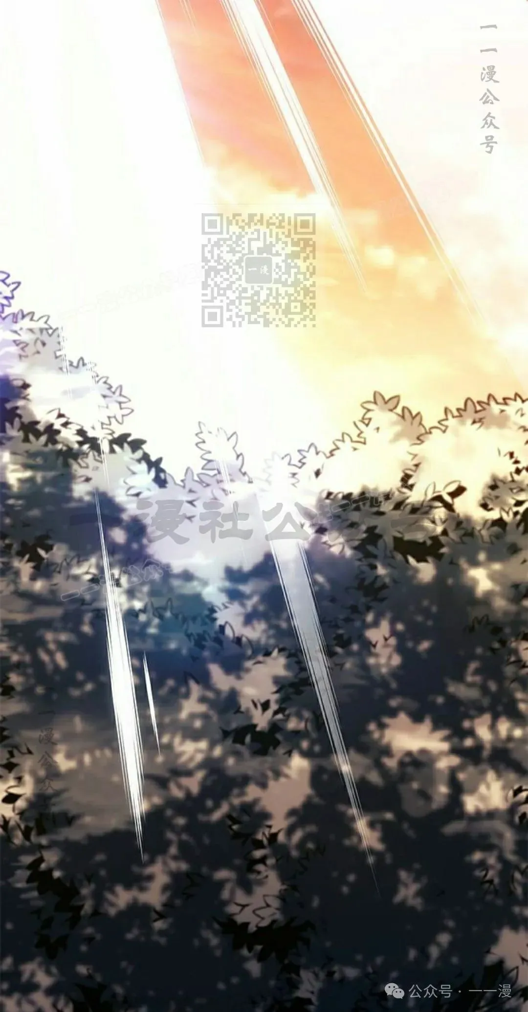 第31集25