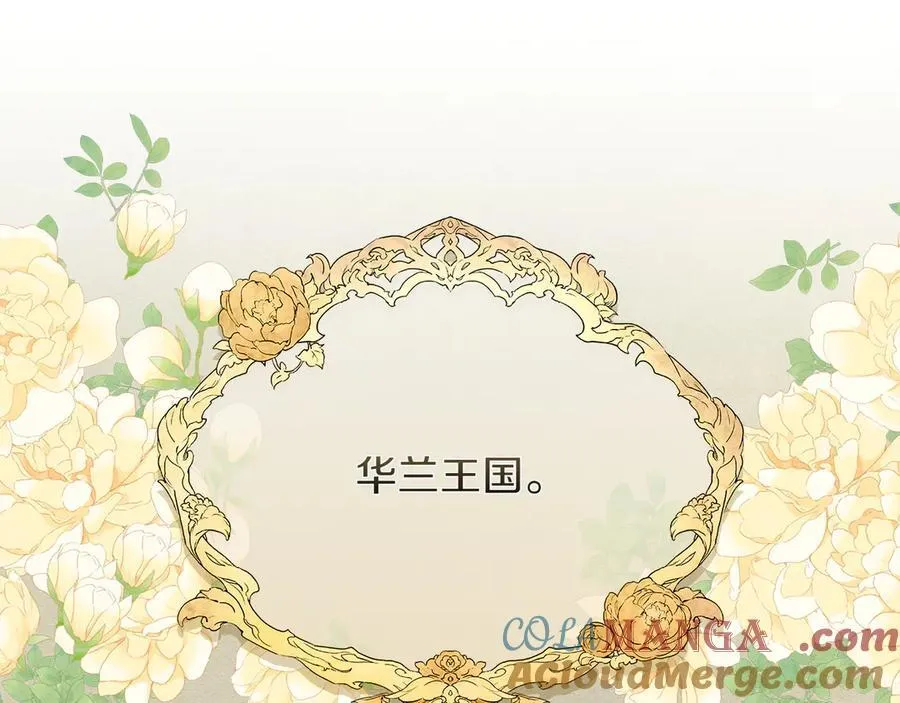 第44话 血统和诅咒4