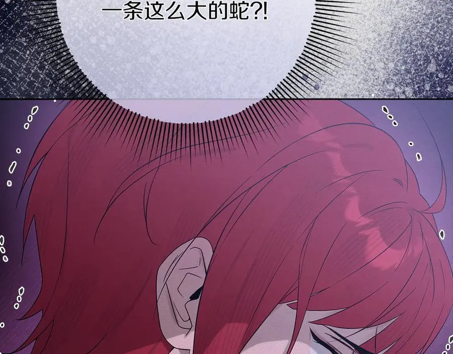 第46话 神秘的箱子47