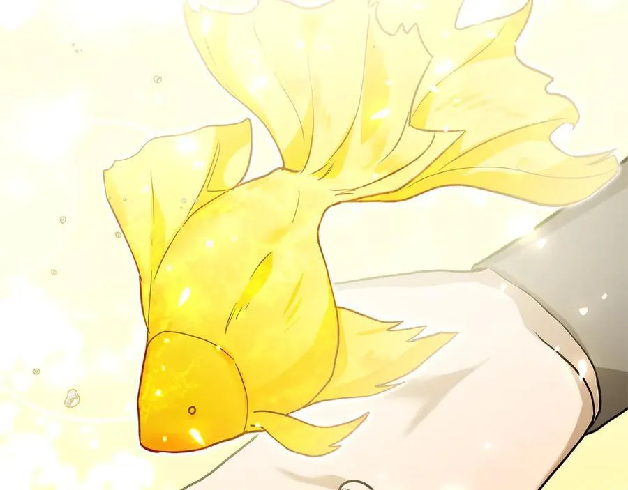 第46话 神秘的箱子54