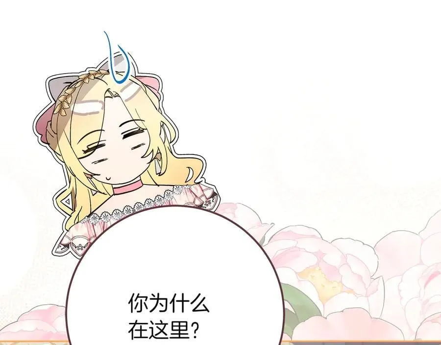 第46话 神秘的箱子162