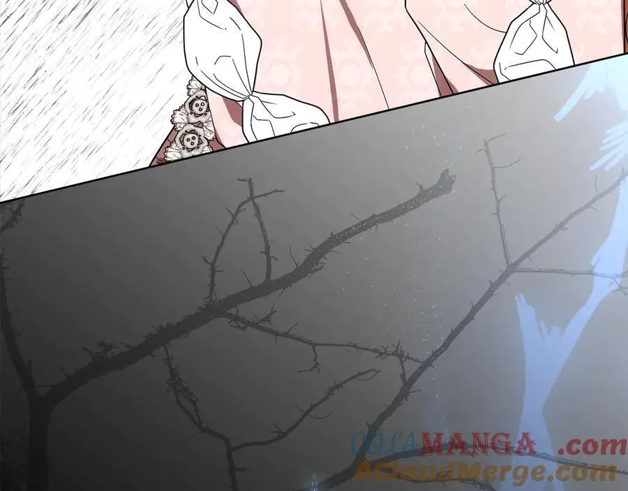 第46话 神秘的箱子188