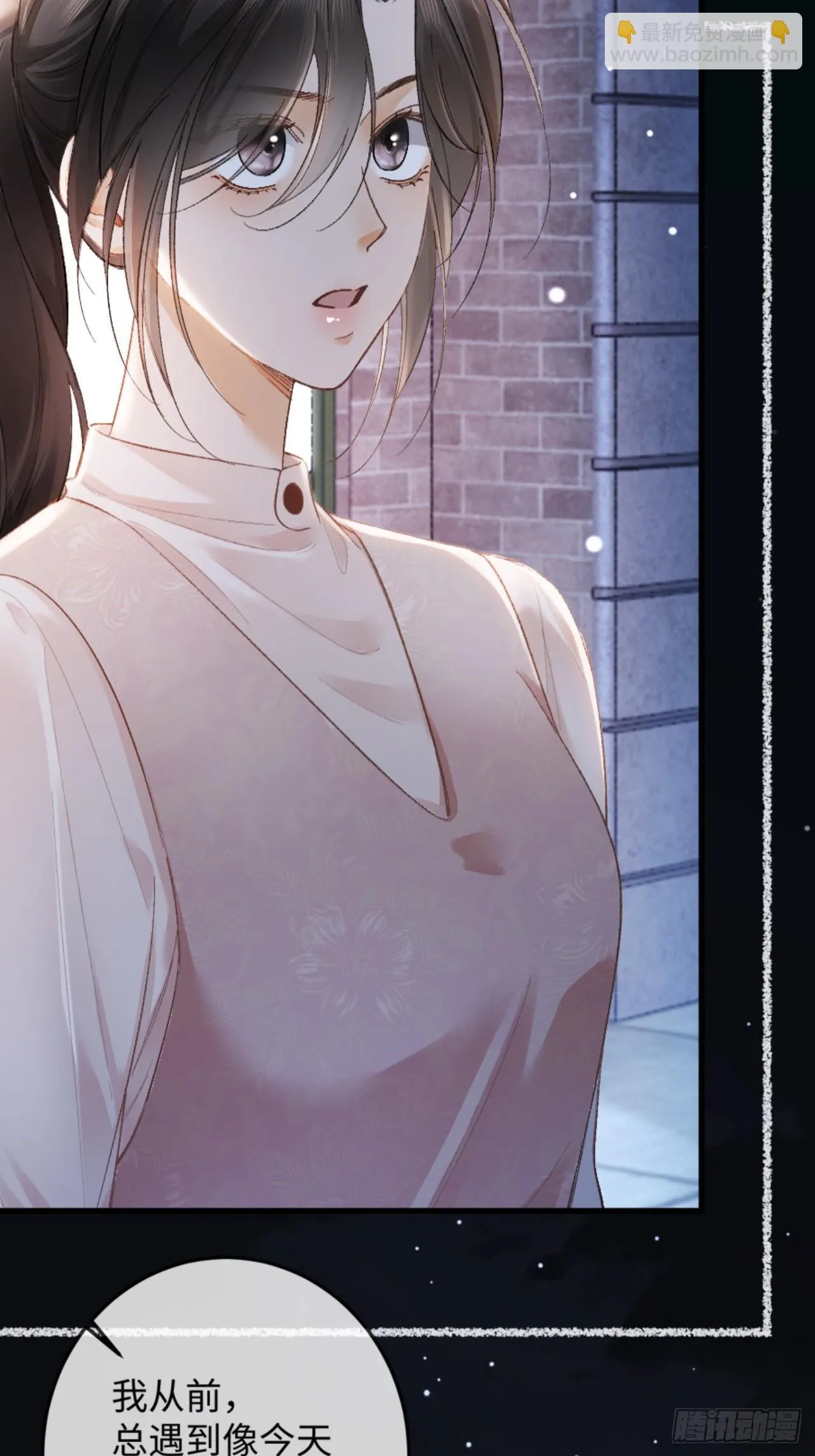 12话 孔雀开屏37