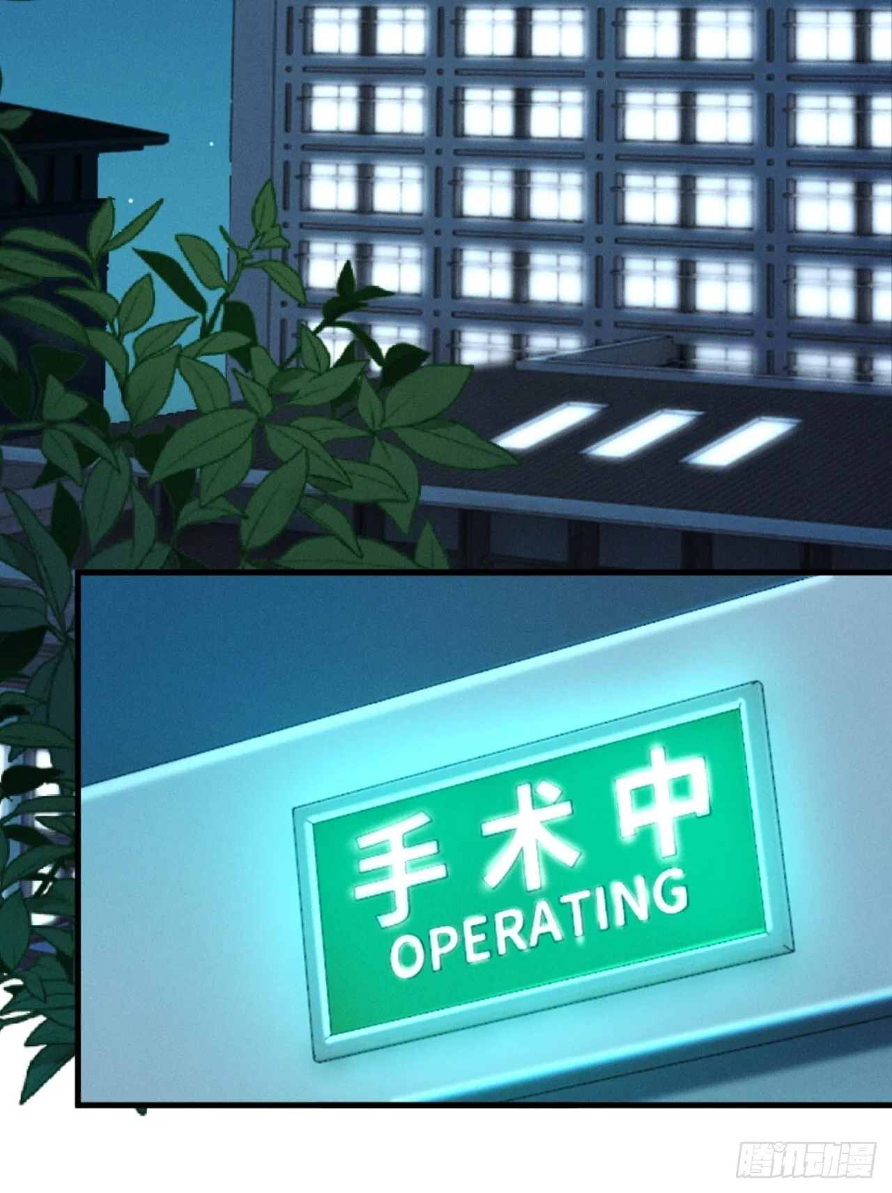 12话 孔雀开屏46