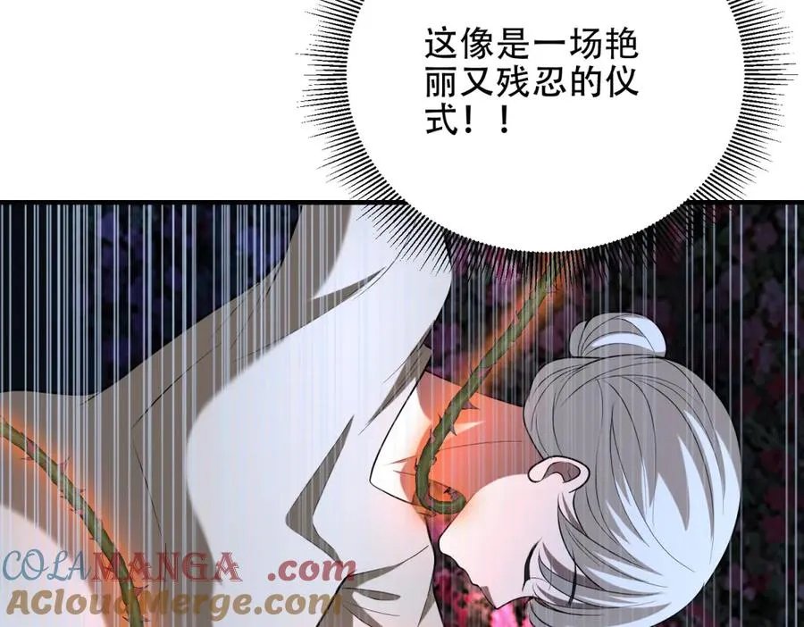 第44话 蔷薇花园的养料132
