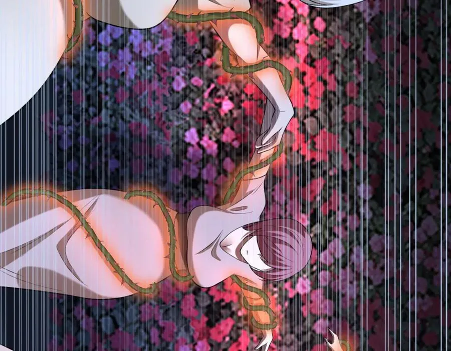 第44话 蔷薇花园的养料133