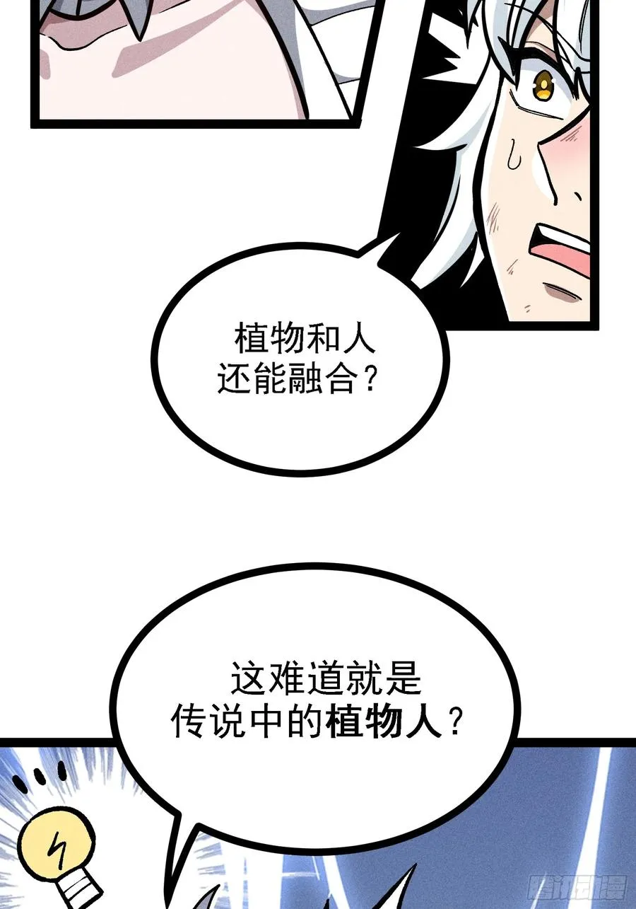 布局4