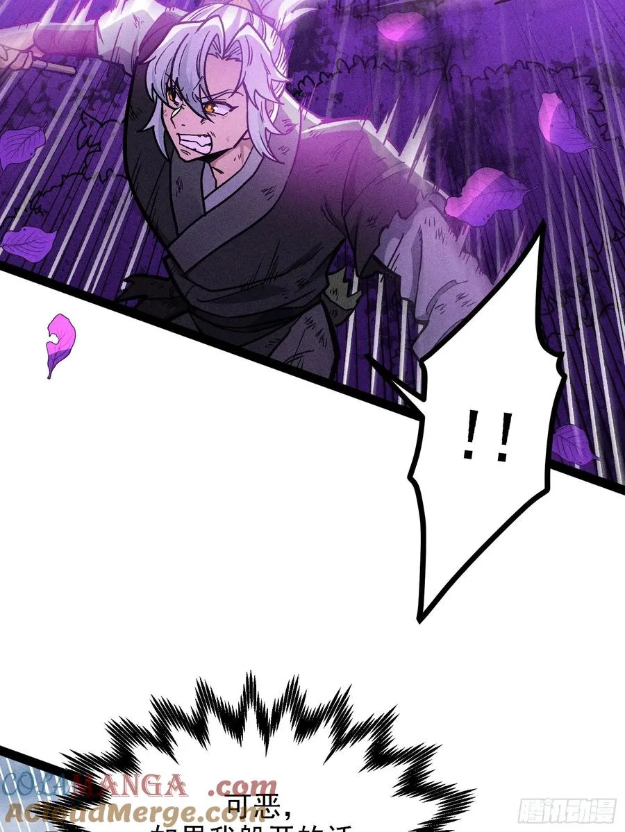布局24