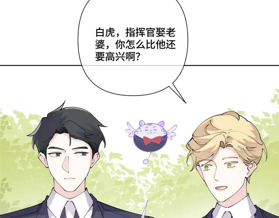 66 去结婚啦29