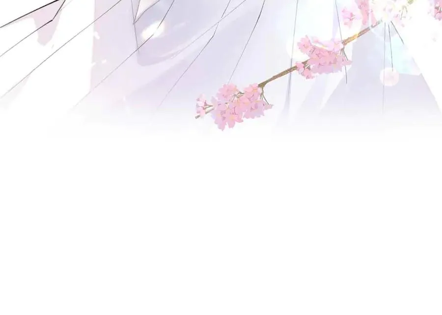 26 你是我的妻子31
