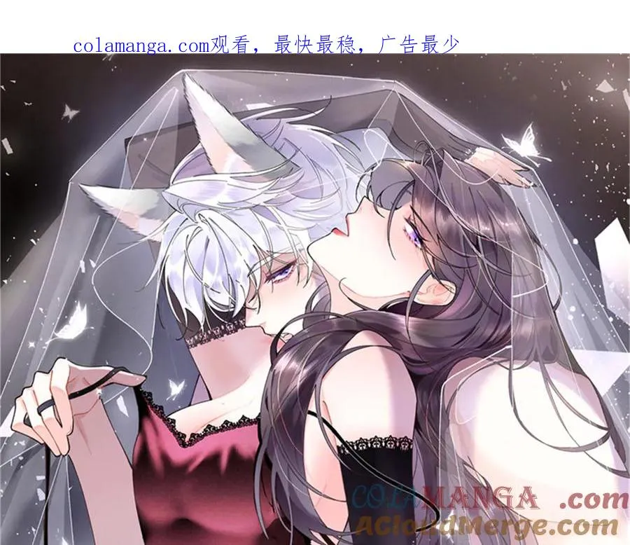 55 给我摸摸你的耳朵0