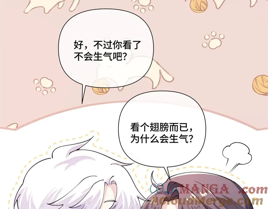 71 看看翅膀44