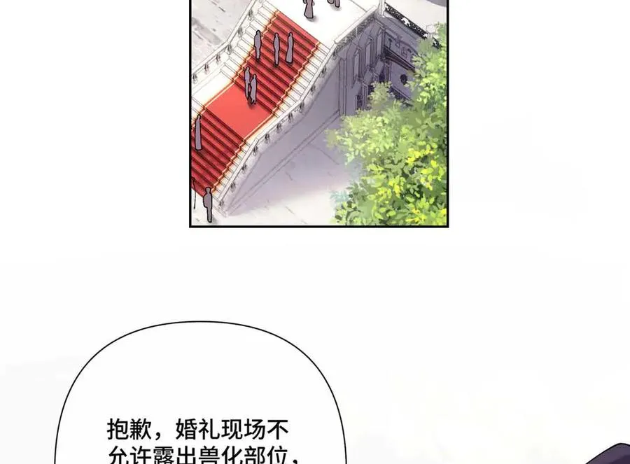 66 去结婚啦62