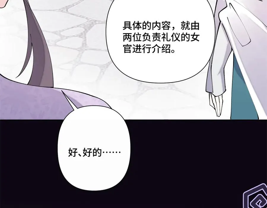 62 是帕拉斯猫猫哦28