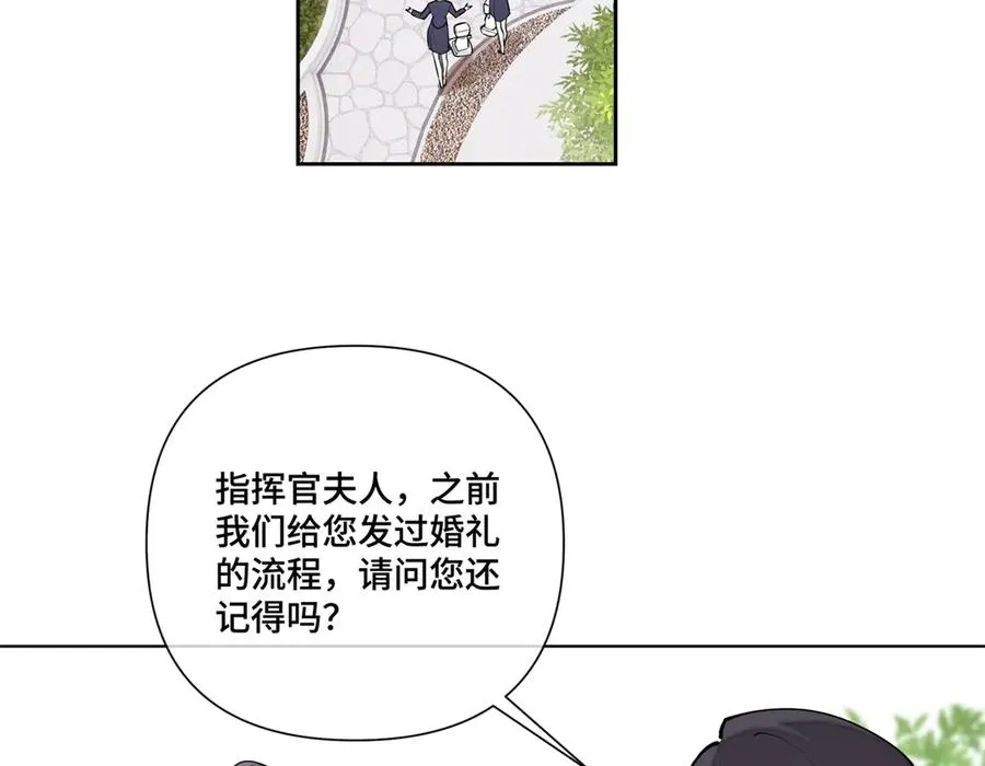 62 是帕拉斯猫猫哦37