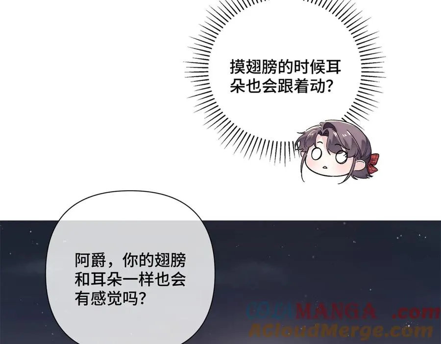 71 看看翅膀64