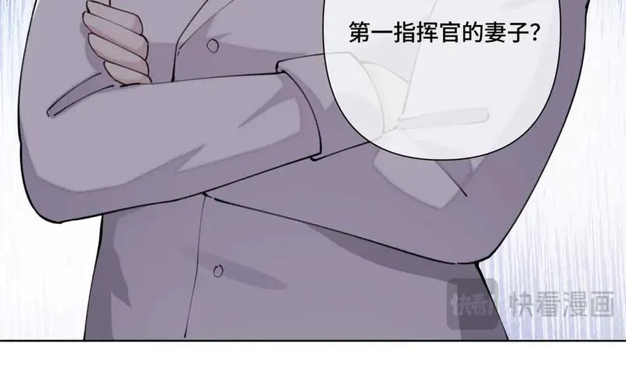 35 狐狸？狼？还是狗狗？89