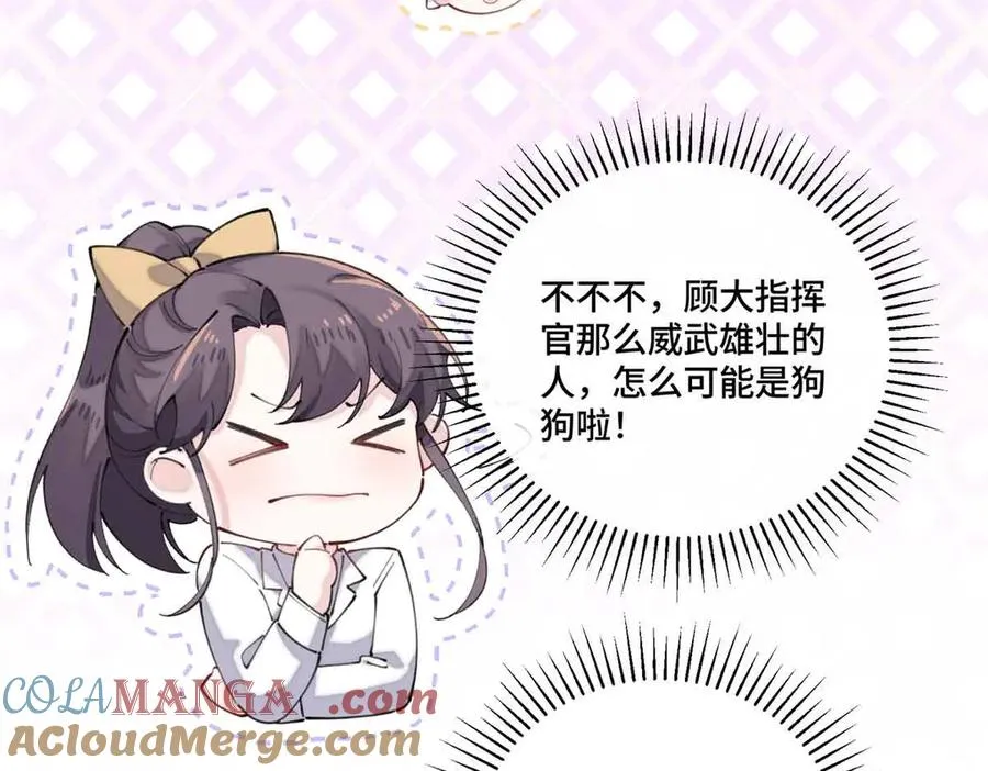 35 狐狸？狼？还是狗狗？63