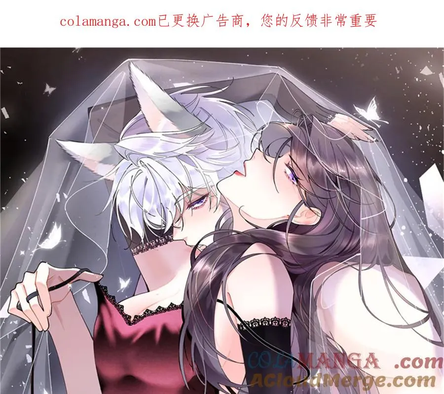 88 转系啦0