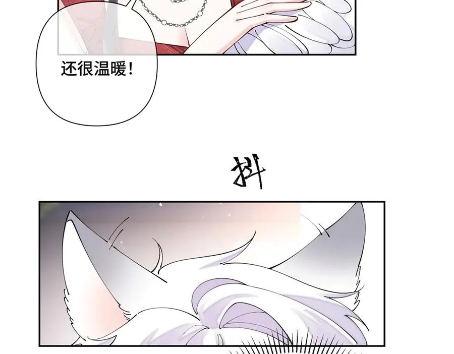 71 看看翅膀63