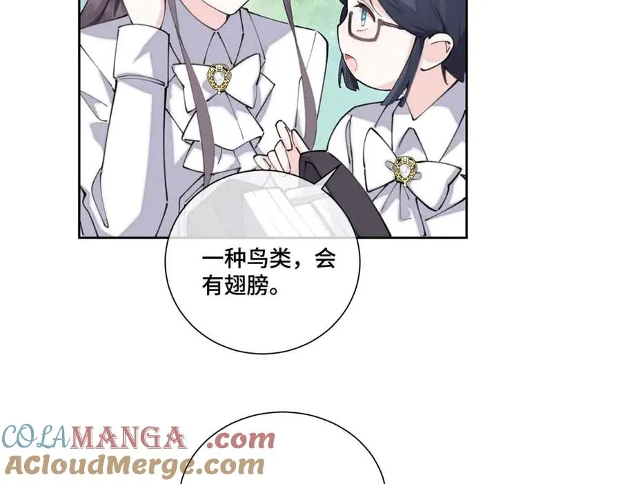 35 狐狸？狼？还是狗狗？57