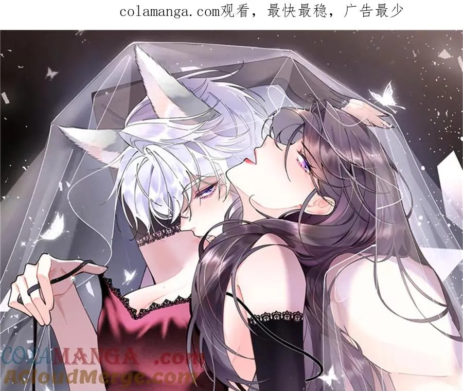 38 怎么不回我消息0