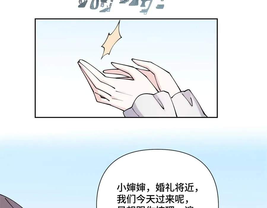 62 是帕拉斯猫猫哦25