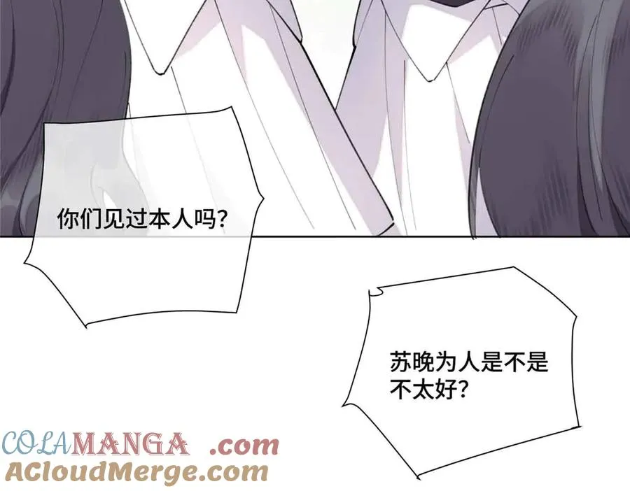 35 狐狸？狼？还是狗狗？30