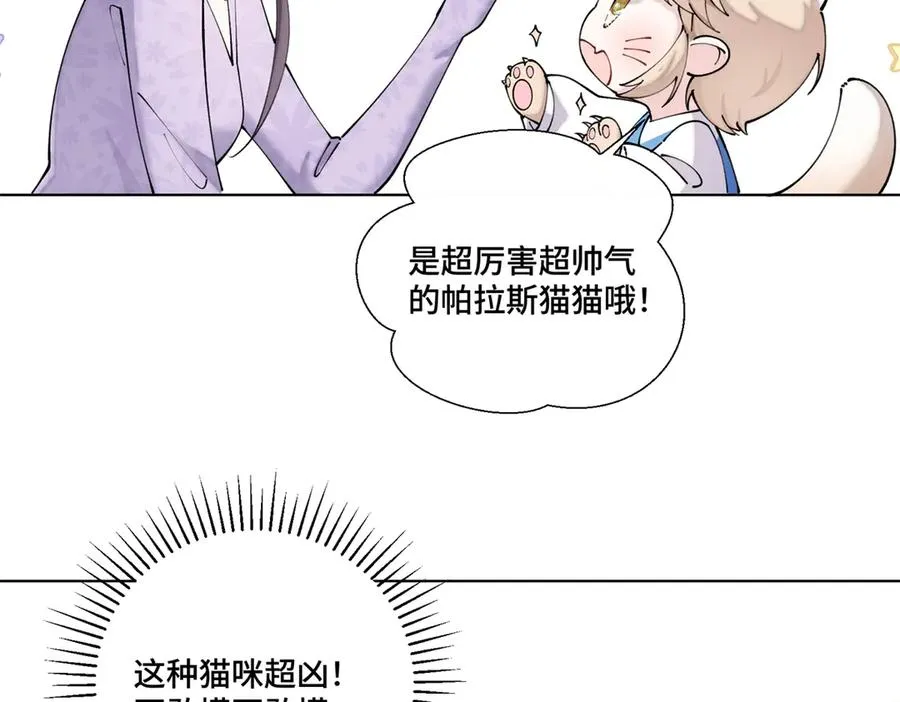 62 是帕拉斯猫猫哦22