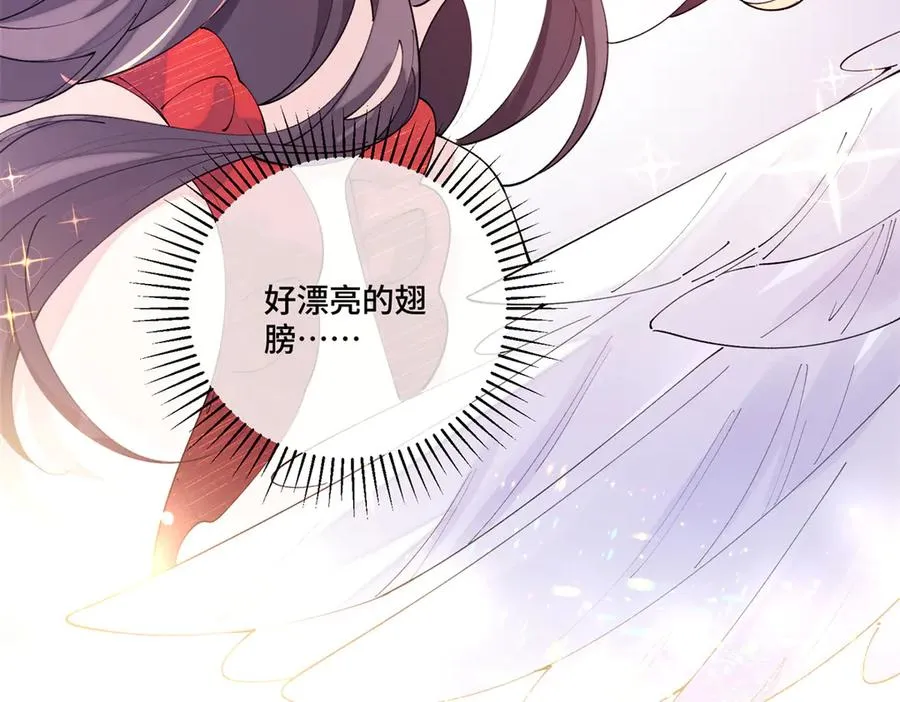 71 看看翅膀55