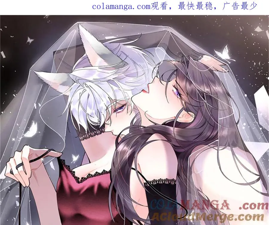 67 新婚快乐0