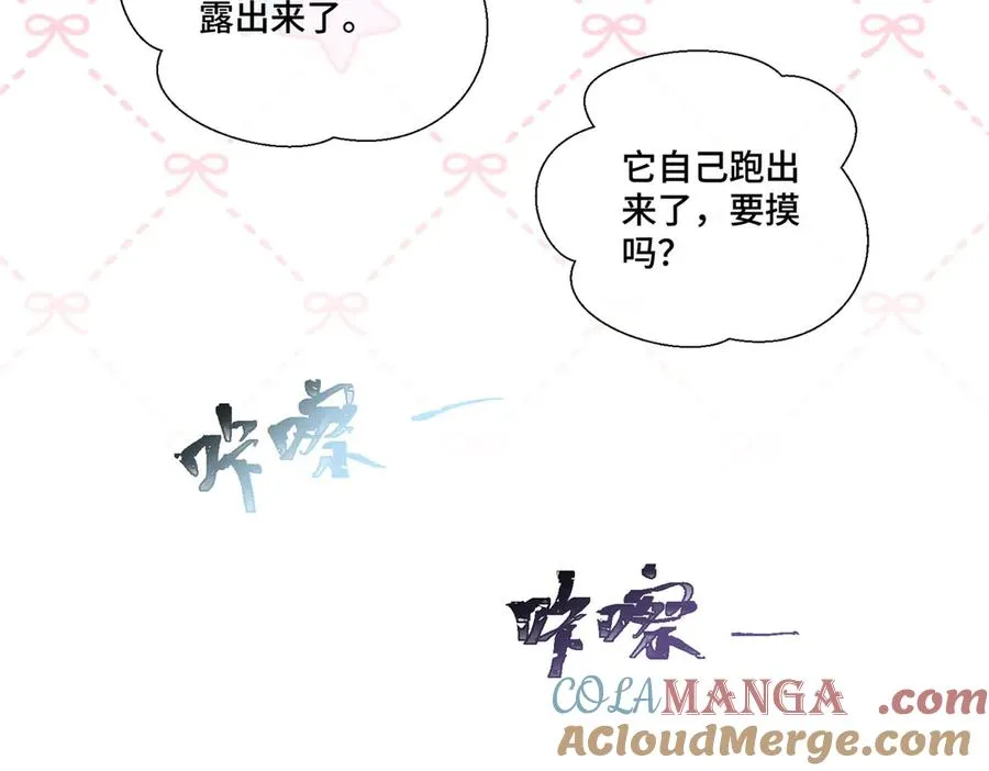 71 看看翅膀28