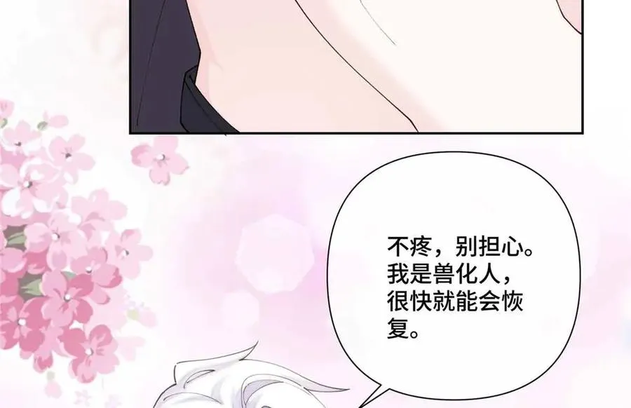 64 这个不能看25