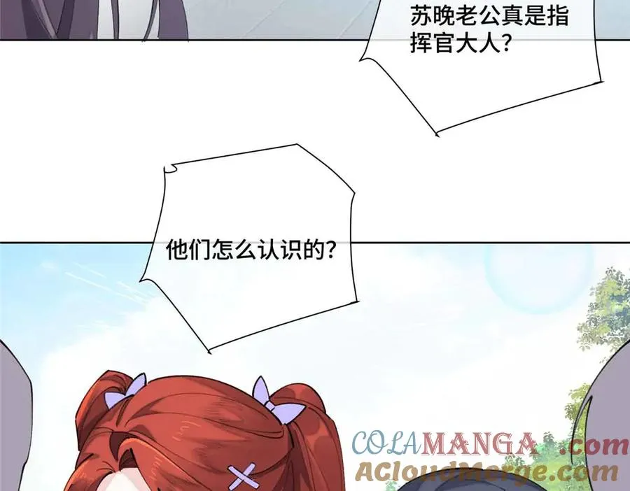 35 狐狸？狼？还是狗狗？27