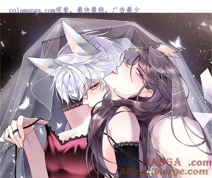 41 离婚了0