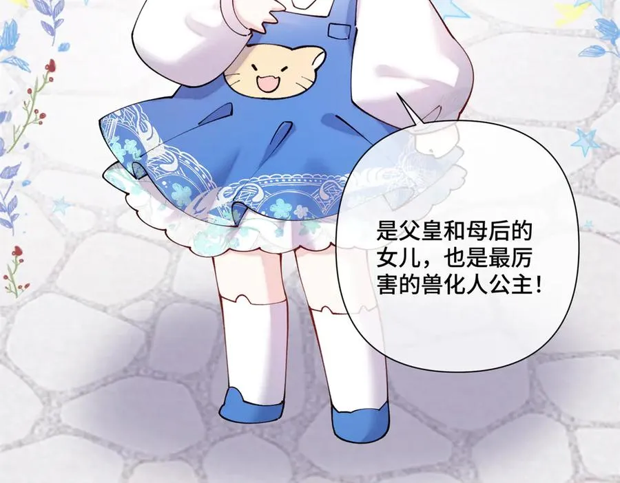 62 是帕拉斯猫猫哦19
