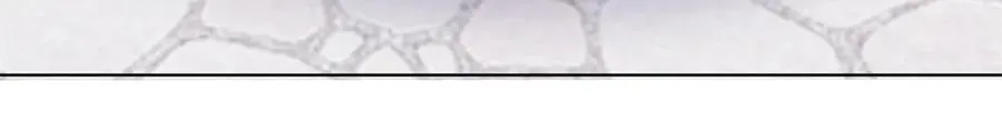 62 是帕拉斯猫猫哦20