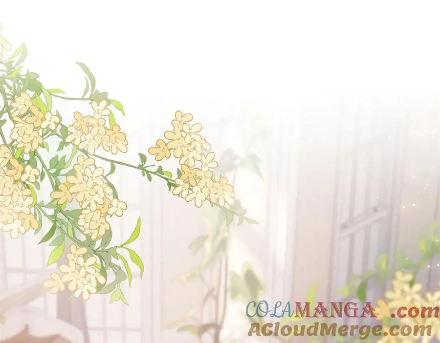 11 比绿茶更茶72
