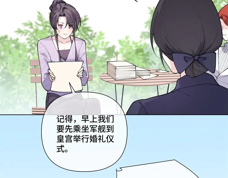 62 是帕拉斯猫猫哦38