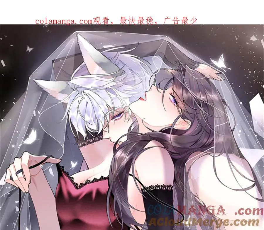 71 看看翅膀0