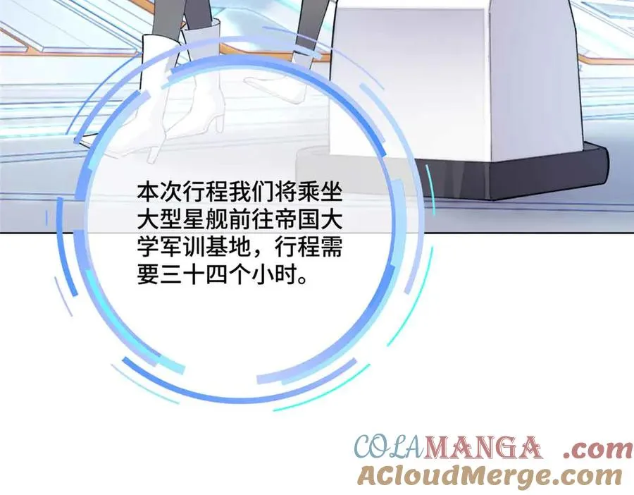 35 狐狸？狼？还是狗狗？72