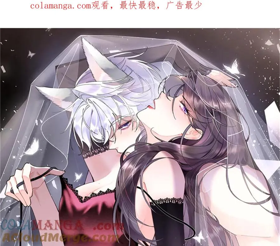 62 是帕拉斯猫猫哦0