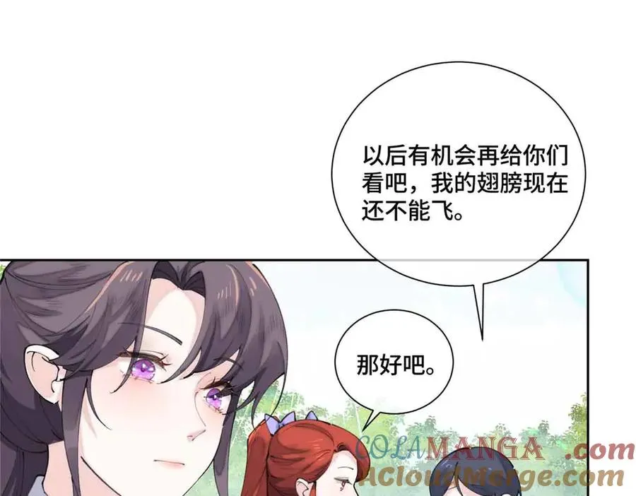 35 狐狸？狼？还是狗狗？60