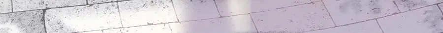 32 没完了是吧52