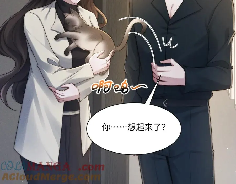 第34话 傅梓忻，我们离婚吧116