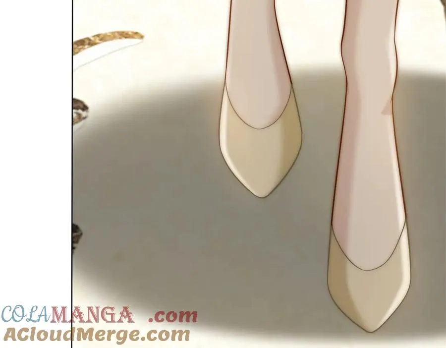 第51话 公开婚礼72