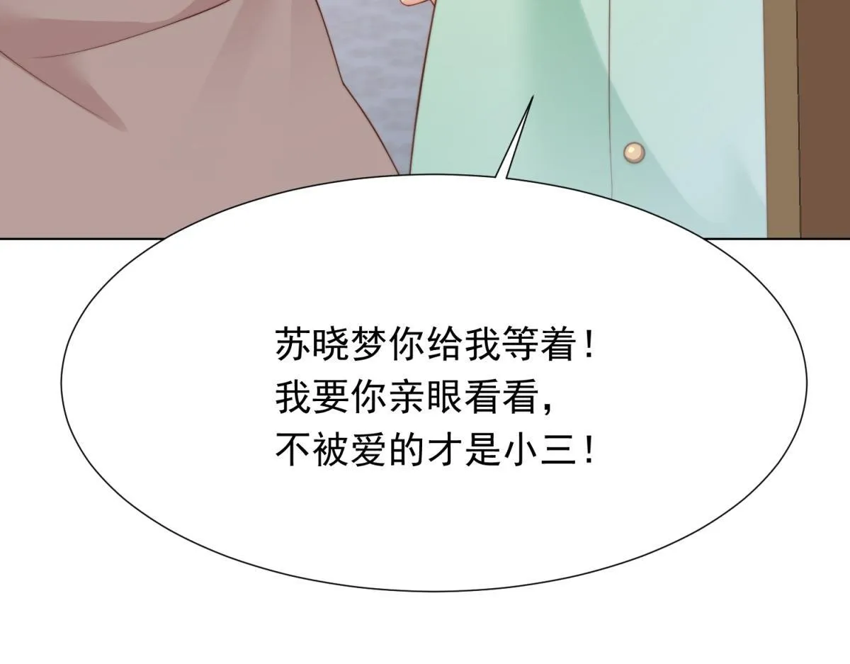 第18话 不被爱的才是小三！101