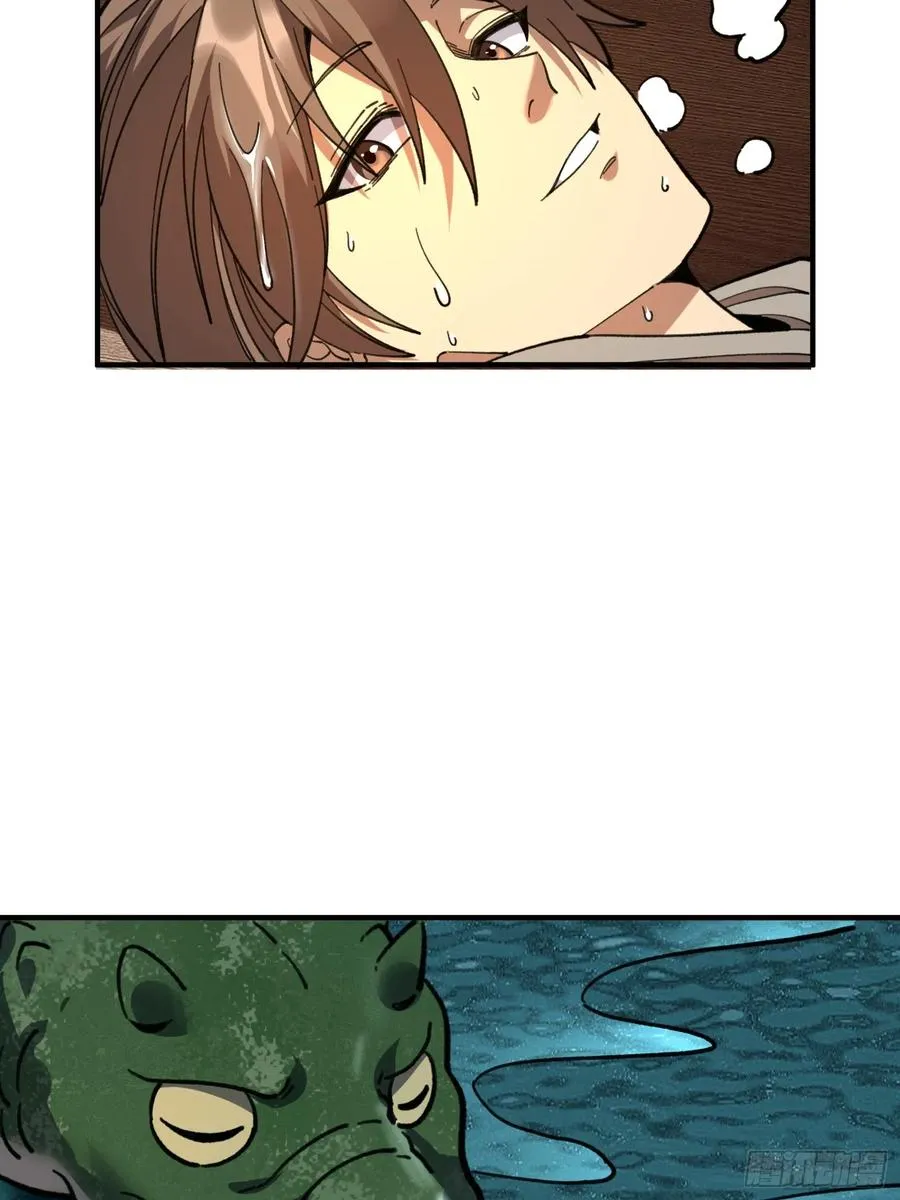 07.阿肥43