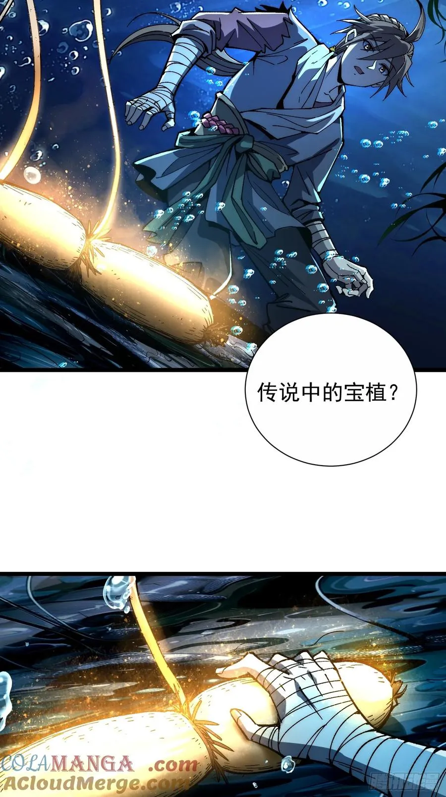 04.灵植21