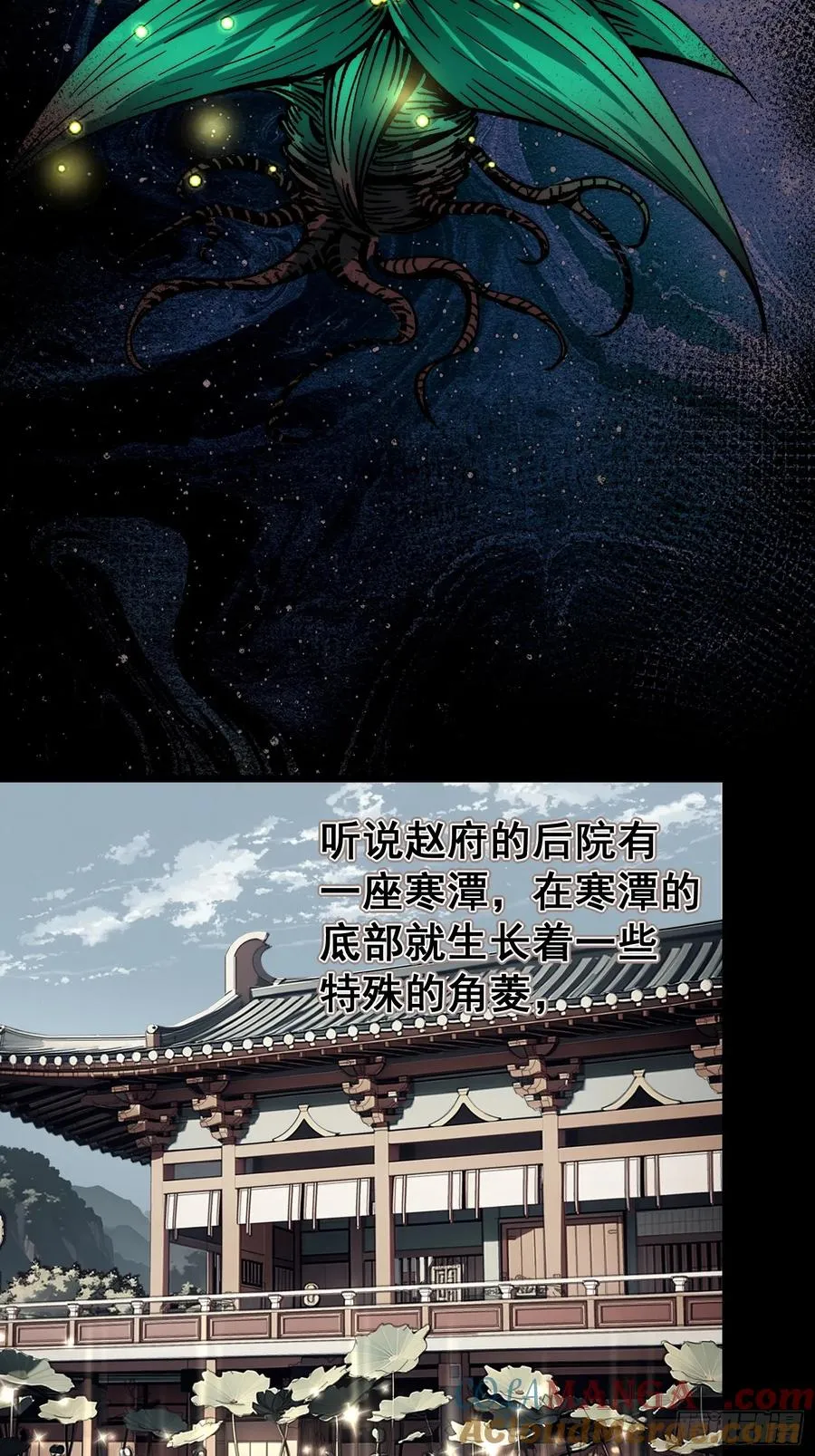 04.灵植24